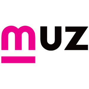 Logo 13 Muz